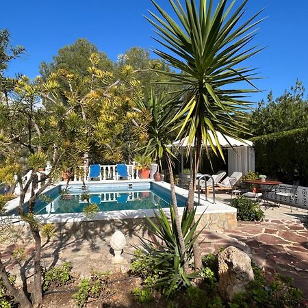 Finca Malata Turis Экстерьер фото