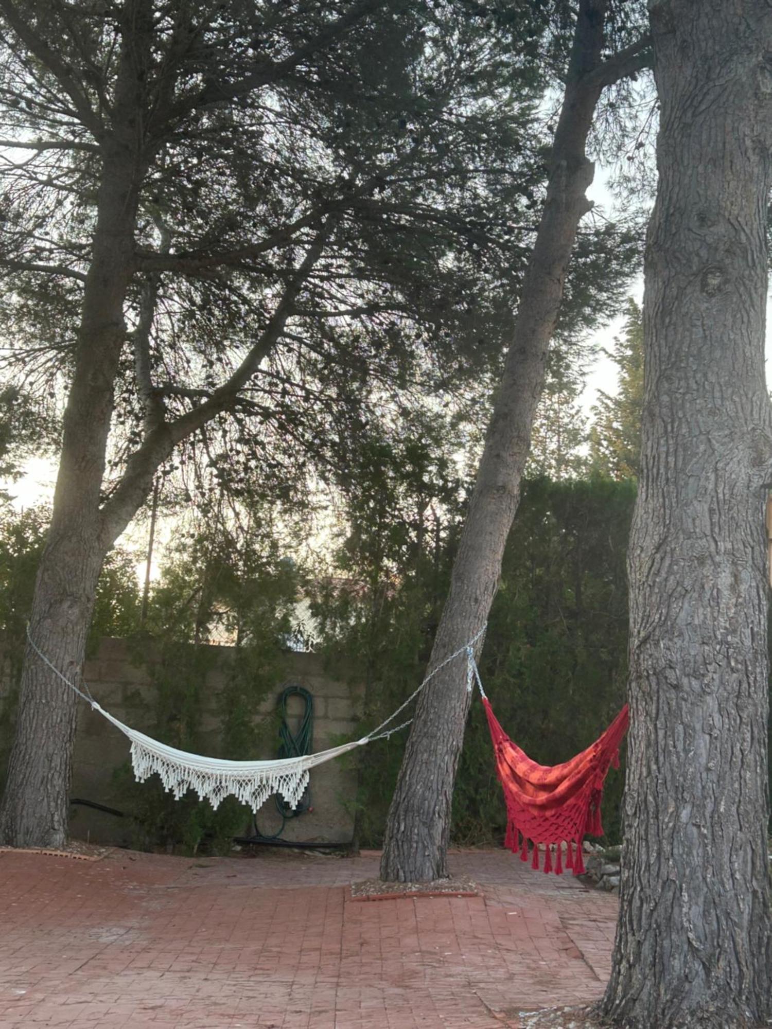 Finca Malata Turis Экстерьер фото