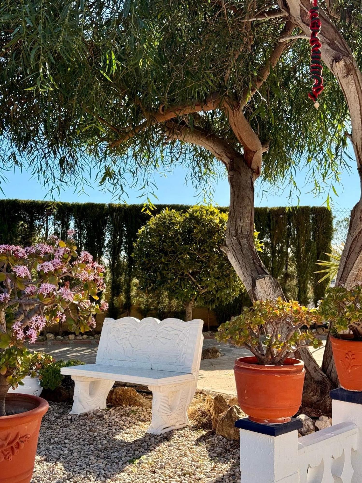 Finca Malata Turis Экстерьер фото